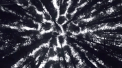 GIF by Eden