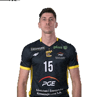 Power Volleyball Sticker by PGE GiEK Skra Bełchatów