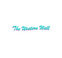 TheKotel הכותל western wall הכותל המערבי the western wall GIF