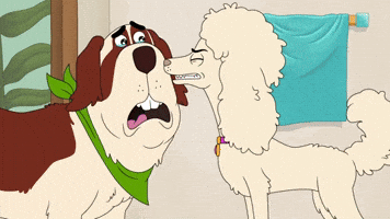 Who Hurt You? | Holiday Special | HOUSEBROKEN