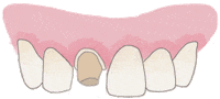 Dentist Odontologia Sticker