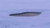 Earth Bubbles GIF by NASA
