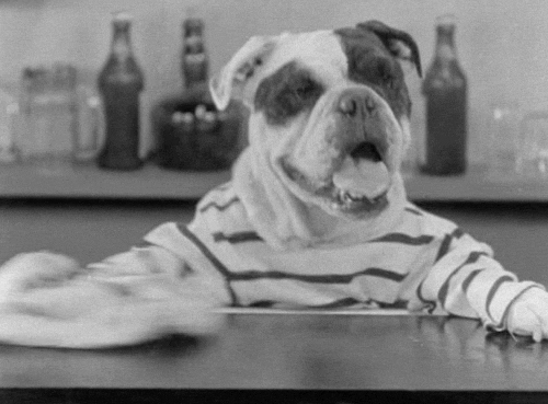 warner archive dogs GIF