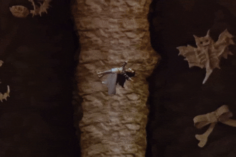 Avocado GIF