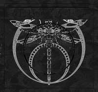 Strobe Dragonfly GIF by Locus Pocus Deco