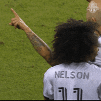 Bmo Field Football GIF by Toronto FC