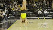 GIF by University of Iowa Hawkeyes Athletics