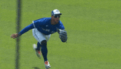 Hands Up Yes GIF by Toronto Blue Jays