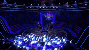 Wwtbams08E07 GIF by Stellify Media
