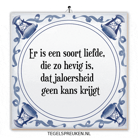 Respect Wijsheid GIF by Tegelspreuken.nl