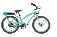 beach bike Sticker by 30A