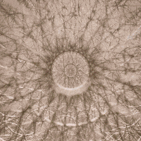 Art Satisfying GIF by Woodblock