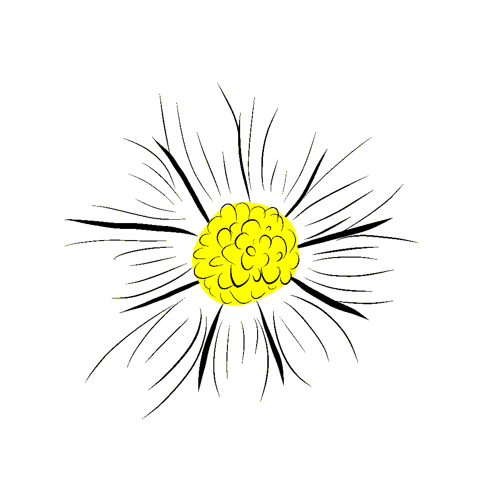 Flower Chamomile Sticker