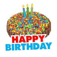 Happy Birthday Coldrock Sticker by Cold Rock Official