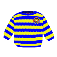 Guy Fawkes Fireworks Sticker by South Heighton Bonfire Society