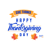 Happythanksgiving Sticker by Meridian°