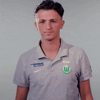 fifa 18 football GIF by VfL Wolfsburg