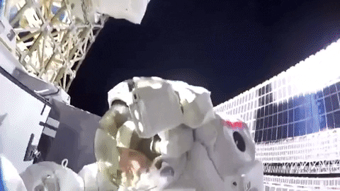 tulsimo giphygifmaker GIF