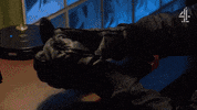 Mystery Crime GIF by Hollyoaks