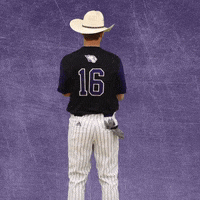 Baseball Wesleyan GIF by KWC Panthers