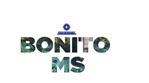 roteirobonitoms giphyupload animal bonito mergulho Sticker