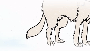 GIF by Animal Planet