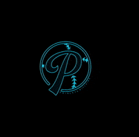 GIF by Paisleys Pitching