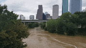 MFDtheArtist houston flood harvey GIF