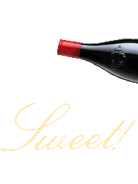 Red Wine Quarantine Sticker by Mezzacorona Wine
