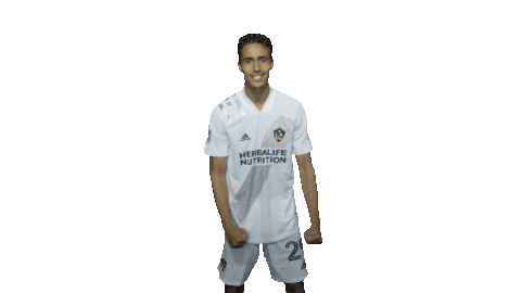 Los Angeles Football Sticker by LA Galaxy