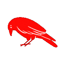 lolokhod animal bird eye curious Sticker
