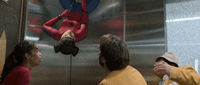 GIF by Morphin