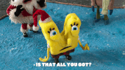 Is That All You Got Season 8 GIF by SpongeBob SquarePants