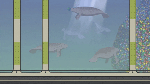 clues manatees GIF by South Park 