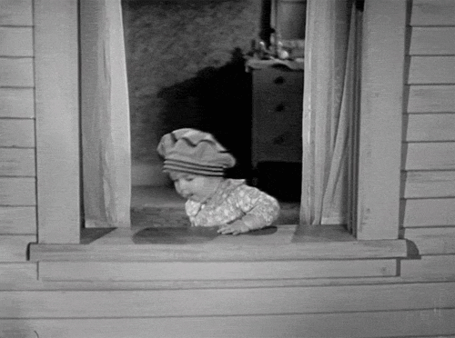 giffunme giphyupload GIF