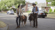 fred armisen horses GIF by Portlandia