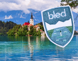 Passion4carp carp karpervissen bled lake bled GIF