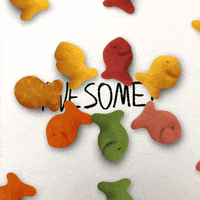 awesome goldfish crackers GIF by Goldfish