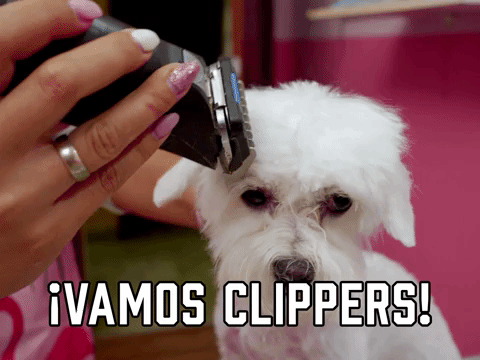 ยกVamos Clippers!