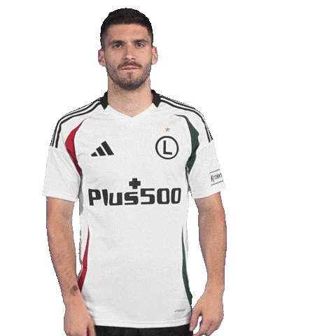 LegiaWarsaw giphyupload football soccer warsaw Sticker