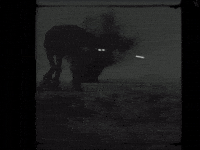 3D GIF