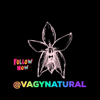 vagynatural vagynatural follow sex clean vagy uterus vagina 2020 top GIF
