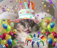 Happy Birthday Cat GIF