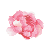 LilitS art flower drawing watercolor Sticker