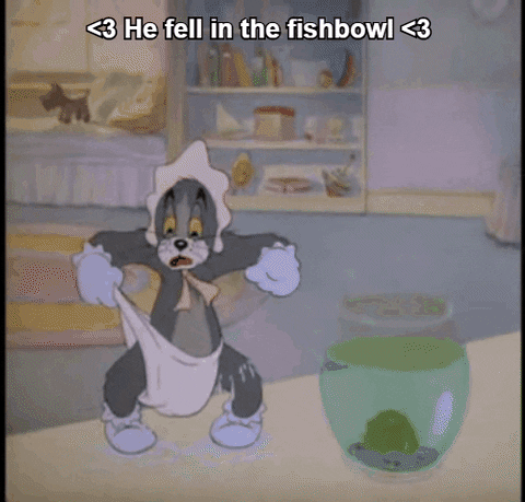 GIF by Giffffr