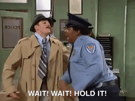 nickrewind nicksplat nickelodeon splat all that GIF