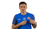 Football Celebration Sticker by Slovensky futbalovy zvaz