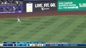 Miami Marlins Sport GIF by MLB