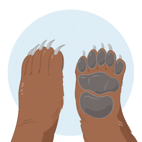 High Five Bear Sticker by Alaska Seafood