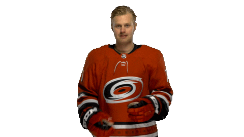 Lucas Wallmark Sticker by Carolina Hurricanes